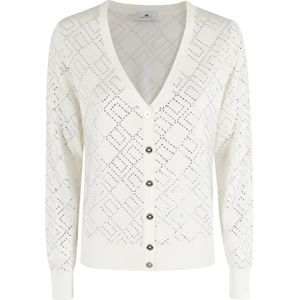 Elisabetta Franchi, Dames, Truien, Wit, Maat: L
