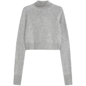 Sportmax, Dames, Truien, Grijs, Maat: L Kasjmier,