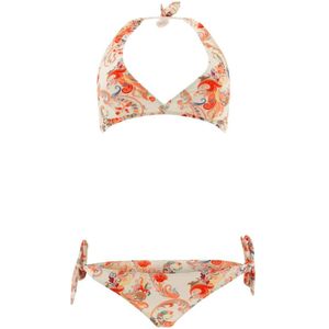 Etro, Dames, Badkleding, Veelkleurig, Maat: L Polyamide,