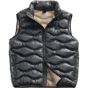 Blauer, Heren, Jassen, Grijs, Maat: L