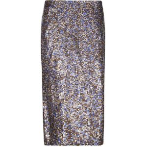 Dries Van Noten, Dames, Rokken, Veelkleurig, Maat: L