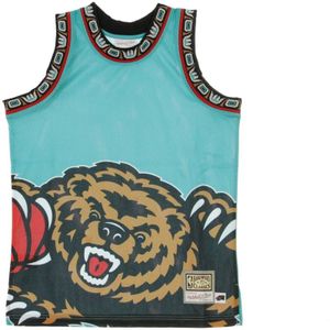 Mitchell & Ness, Heren, Sport, Veelkleurig, Maat: S Jersey,