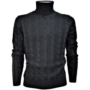 Cashmere Company, Heren, Truien, Zwart, Maat: 2XL Wol,