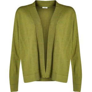 Lind, Dames, Truien, Groen, Maat: S Wol,