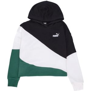 Puma, Dames, Sweatshirts & Hoodies, Veelkleurig, Maat: M Katoen,