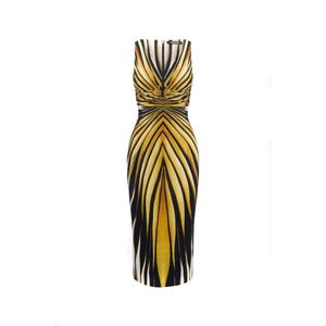 Roberto Cavalli, Dames, Jurken, Veelkleurig, Maat: 2XS Polyamide,