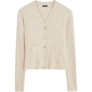 Joseph, Dames, Truien, Beige, Maat: L Wol,