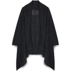 Fiorella Rubino, Dames, Truien, Grijs, Maat: XS Wol,