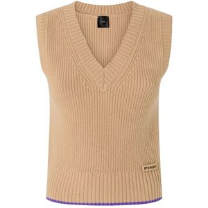 Pinko, Dames, Truien, Beige, Maat: M Kasjmier,