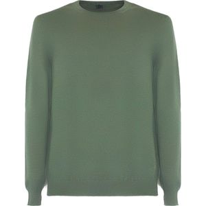 Fedeli, Heren, Truien, Groen, Maat: 2XL Kasjmier,