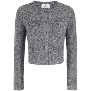 Elisabetta Franchi, Dames, Truien, Grijs, Maat: M Wol,