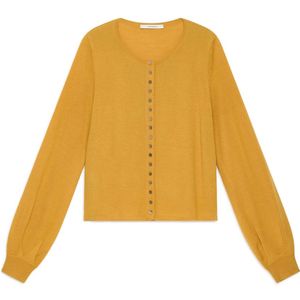 Maliparmi, Dames, Truien, Geel, Maat: XS Zijde,