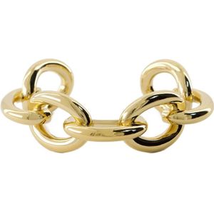 Isabel Marant, Dames, Accessoires, Geel, Maat: M