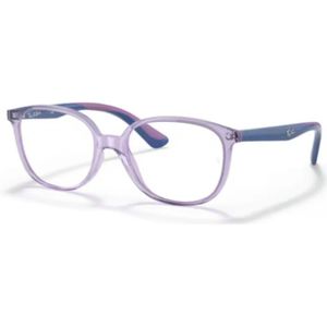 Ray-Ban, Dames, Accessoires, Paars, Maat: 49 MM