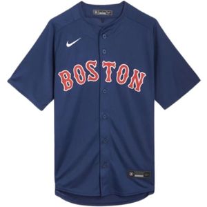 Nike, Heren, Overhemden, Blauw, Maat: M