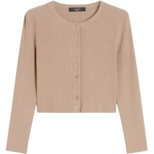 Weekend Max Mara, Dames, Truien, Bruin, Maat: M Viscose,