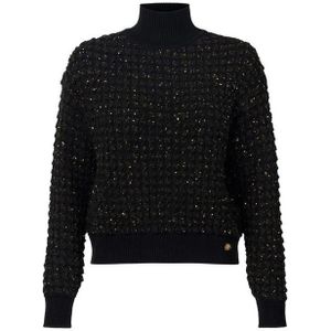 Elisabetta Franchi, Dames, Truien, Zwart, Maat: M Acryl,