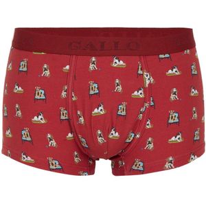 Gallo, Heren, Ondergoed, Veelkleurig, Maat: 2XL Katoen,