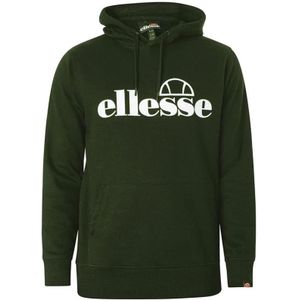 Ellesse, Heren, Sweatshirts & Hoodies, Groen, Maat: S