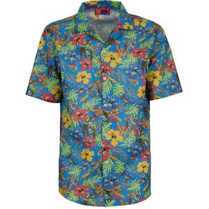 Gallo, Heren, Overhemden, Veelkleurig, Maat: L Katoen,