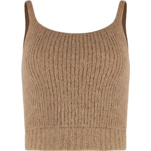 Peserico, Dames, Tops, Bruin, Maat: 2XS Wol,