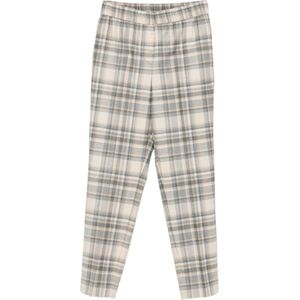 Peserico, Dames, Broeken, Veelkleurig, Maat: L