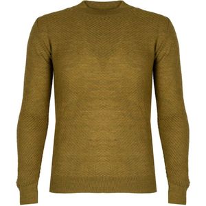 Xagon Man, Heren, Truien, Groen, Maat: XL Wol,