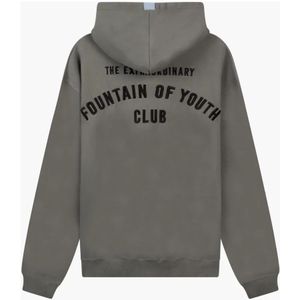 Fountain of Youth, Heren, Sweatshirts & Hoodies, Grijs, Maat: S