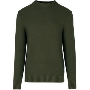 BomBoogie, Heren, Truien, Groen, Maat: L