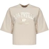 Pinko, Dames, Tops, Beige, Maat: L Katoen,