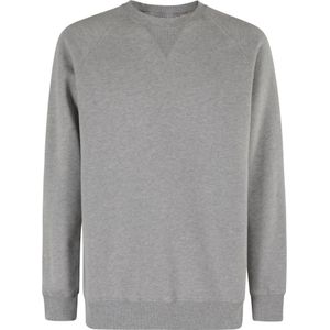 Fortela, Heren, Truien, Grijs, Maat: M