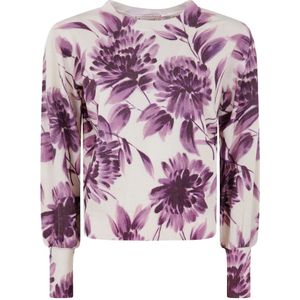 Twinset, Dames, Truien, Veelkleurig, Maat: L