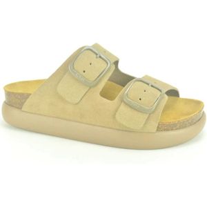 Scholl, Dames, Schoenen, Beige, Maat: 41 EU