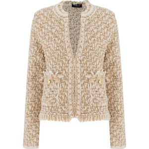 Fabiana Filippi, Dames, Jassen, Veelkleurig, Maat: XS Wol,