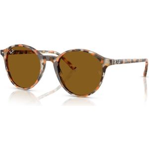 Ray-Ban, unisex, Accessoires, Bruin, Maat: 53 MM
