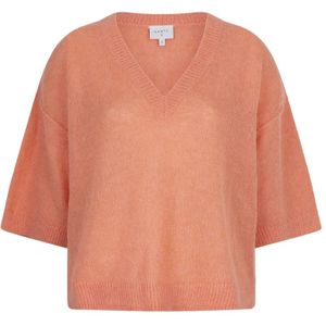 Dante 6, Dames, Truien, Oranje, Maat: XS Wol,