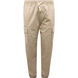 Fay, Heren, Broeken, Beige, Maat: W36