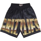Shorts Vancouver Grizzlies NBA Big Face 4.0 Fashion