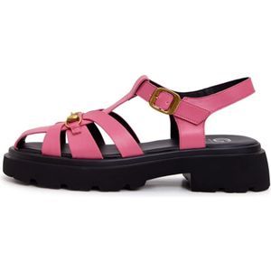 Cesare Gaspari, Dames, Schoenen, Roze, Maat: 37 EU