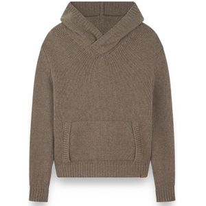 Paul & Shark, Heren, Truien, Bruin, Maat: M Wol,