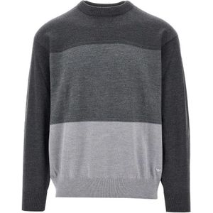 Emporio Armani, Heren, Truien, Grijs, Maat: L Wol,