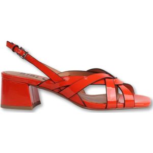 Bibi Lou, Dames, Schoenen, Rood, Maat: 41 EU