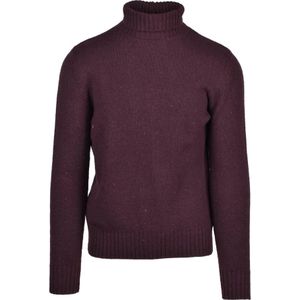 Eleventy, Heren, Truien, Paars, Maat: L Wol,