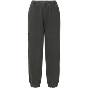 Pinko, Dames, Broeken, Grijs, Maat: XS Katoen,