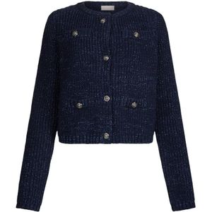 Liu Jo, Dames, Truien, Blauw, Maat: XS Wol,