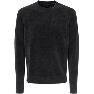 Rrd, Heren, Truien, Grijs, Maat: L Velours,