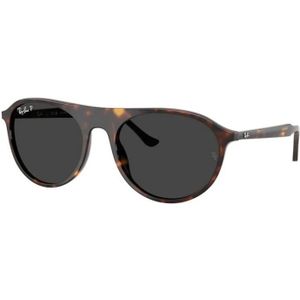 Ray-Ban, unisex, Accessoires, Bruin, Maat: 56 MM