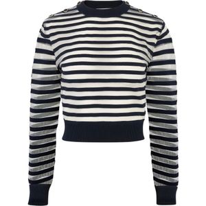 Nina Ricci, Dames, Truien, Blauw, Maat: S Zijde,