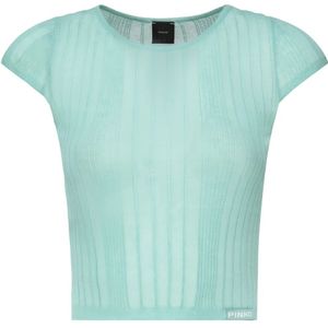 Pinko, Dames, Truien, Blauw, Maat: L