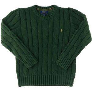 Polo Ralph Lauren, Heren, Truien, Groen, Maat: L